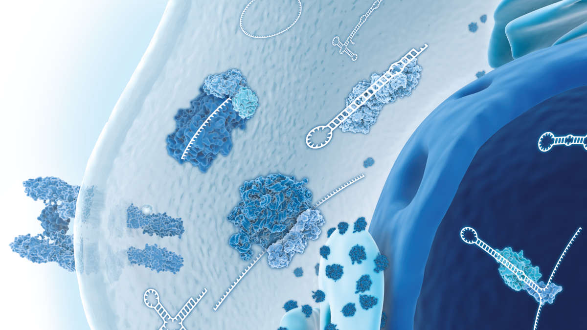 RNA
